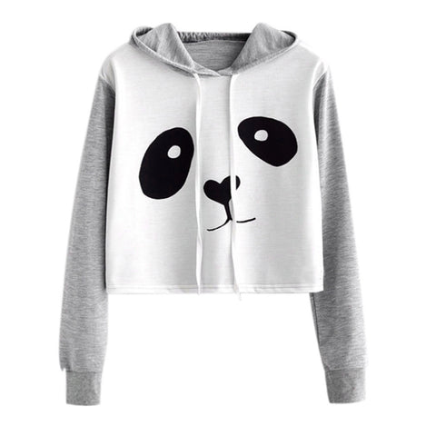 Casual Autumn Long Sleeve Drop Shoulder