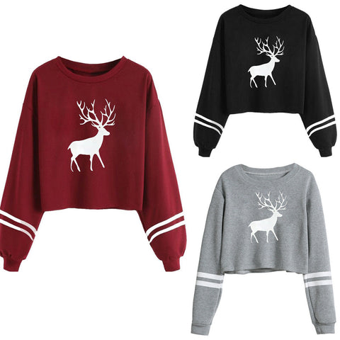 Casual Autumn Long Sleeve Drop Shoulder